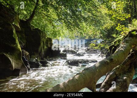 La rivière Darwen qui coule à travers le joyau caché qui est Bas Hoghton Banque D'Images