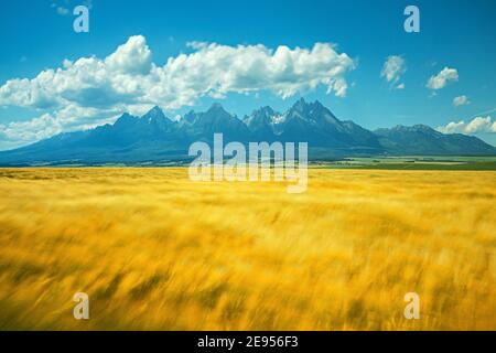 vysoke tatry, slovaquie, hautes tatras, aventure, agriculture, incroyable, attraction, automne, fond, beau, coloré, pays, destination, drame Banque D'Images