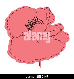 Fleur de pavot, bouton, croquis et imitation aquarelle. Illustration de Vecteur