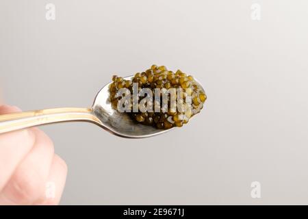 Caviar d'esturgeon noir dans une cuillère dorée sur fond blanc avec espace de copie. Banque D'Images