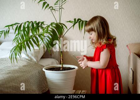 Mignonne fille de bébé aux cheveux rouges dans la chambre arrosant une plante de maison dans un lit près du lit. Soin de plantes exotiques, jardinage à la maison Banque D'Images