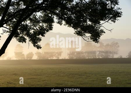 La lumière du soleil se brise à travers le brouillard qui se trouve au-dessus de la campagne champ en face de la colline en début de matinée Banque D'Images