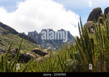 Environnement de montagne brésilien dans le parc national d'Itatiaia Banque D'Images