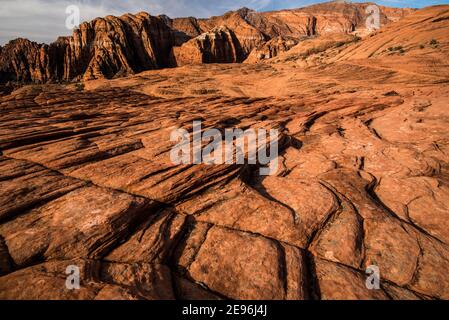 Les textures et les motifs des dunes de sable pétrifié dans le parc national de Snow Canyon, Utah, États-Unis. Il est connu pour ses dunes de sable pétrifiées et ses formations rocheuses. Banque D'Images