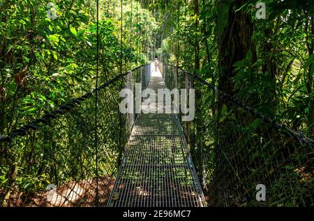 Touristes méconnaissables sur les ponts suspendus de la canopée surélevée, Parc national du volcan Arenal, Costa Rica. Banque D'Images