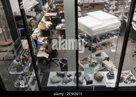 Seattle, Washington, États-Unis. 2 février 2021. Un membre du personnel travaille sur une collection d'objets inuits dans la salle de travail sur la culture contemporaine lors de la réouverture du Musée Burke. Cette semaine, plusieurs comtés de l'ouest de Washington ont avancé à la phase 2 du plan de réouverture de l'État permettant aux restaurants et aux lieux de divertissement en direct de rouvrir à 25% de capacité. Crédit : Paul Christian Gordon/Alay Live News Banque D'Images