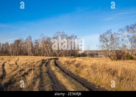 Route de campagne à travers les champs agricoles et la forêt jusqu'à la rivière au coucher du soleil. Fin de l'automne. Lumière du soleil chaude le soir. Vacances, tourisme et aventure. Banque D'Images