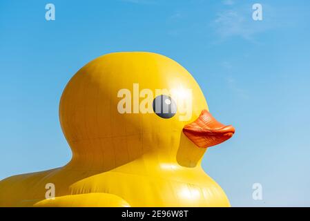 Canard géant en caoutchouc célébrera le 150e anniversaire du Canada, Toronto, Canada - 30 juin 2017 Banque D'Images