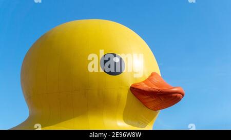 Canard géant en caoutchouc célébrera le 150e anniversaire du Canada, Toronto, Canada - 30 juin 2017 Banque D'Images