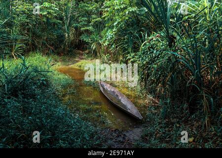 Canoë-kayak le long d'un sentier de randonnée de la forêt tropicale d'Amazone, réserve naturelle de Cuyabeno, Équateur. Banque D'Images