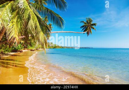Tropical beach, Thaïlande, île Mak Banque D'Images