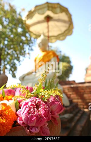 Gros plan beaucoup de fleurs de Lotus et Marigold pour offrir dans un vase avec image floue de Bouddha blanc en arrière-plan, Thaïlande Banque D'Images