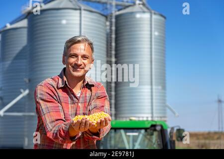 Mains de l'agriculteur tenant le maïs récolté. Agriculteur avec des grains de maïs dans ses mains assis dans une remorque pleine de graines de maïs. Banque D'Images