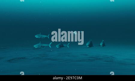 Groupe de grands requins blancs nageant dans l'eau bleu profond de l'océan, scène sous-marine de requins blancs, Beauté de la vie de mer, 4K haute qualité, rendu 3D. Banque D'Images