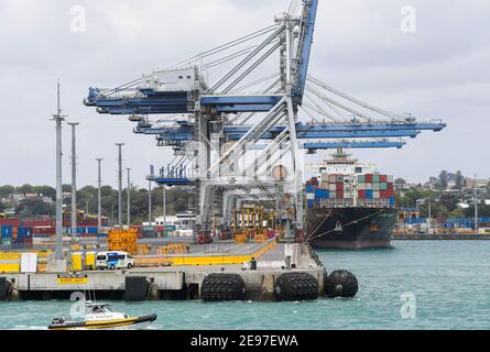 Auckland. 18 décembre 2020. Photo prise le 18 décembre 2020 montre un port pour conteneurs à Auckland, Nouvelle-Zélande. Le taux de chômage de la Nouvelle-Zélande a chuté à 4.9 pour cent au trimestre de décembre 2020, contre 5.3 pour cent au trimestre de septembre 2020, a déclaré mercredi le département de statistique Stats NZ. Le taux de chômage de 5.3 pour cent du trimestre dernier a suivi la plus forte augmentation observée au cours d'un seul trimestre depuis le début de la série en 1986, a déclaré Stats NZ. POUR ALLER AVEC 'le taux de chômage de la Nouvelle-Zélande tombe à 4.9 pour cent en décembre-trimestre" crédit: Guo Lei/Xinhua/Alay Live News Banque D'Images