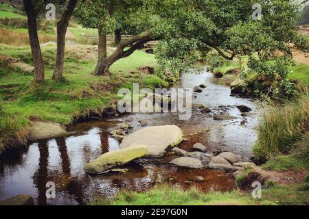 Burbage Brook, Padley gorge, High Peak, Derbyshire, Royaume-Uni Banque D'Images