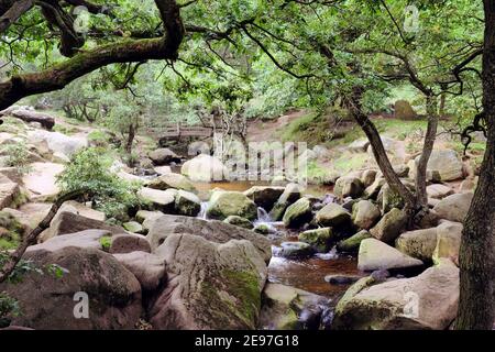 Burbage Brook, Padley gorge, High Peak, Derbyshire, Royaume-Uni Banque D'Images