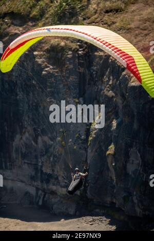 Muriwai Beach, Nouvelle-Zélande, le 3 février 2021 - UN pilote de parapente navigue sur les thermes au-dessus d'une colonie de Gannet au-dessus de Muriwai Beach sur la côte ouest de la Nouvelle-Zélande, à 40 km à l'ouest d'Auckland. Credit Rob Taggart/Alamy News en direct Banque D'Images