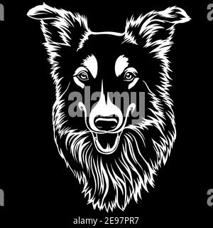 Chien de race Shepherd australien Sheltie face tête animal isolé chien domestique chien chiot chiot chiot race pedigree chien portrait peeking pattes sourire sm Illustration de Vecteur