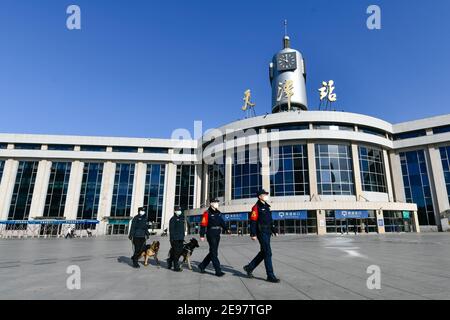 (210203) -- TIANJIN, le 3 février 2021 (Xinhua) -- des policiers et des chiens de police patrouillent sur la place de la gare ferroviaire de Tianjin, dans le nord de la Chine, le 1er février 2021. 'Fen Di', chien hybride allemand néerlandais et chien de garde à la succursale de Tianjin du bureau de sécurité publique ferroviaire de Pékin, travaille et vit avec son entraîneur Zhao hui depuis trois ans. Il y a maintenant une douzaine de chiens comme 'Fen Di' ici, qui agissent comme gardes dans la patrouille de routine et de bons partenaires dans l'entraînement. Cette année, pendant la course de voyage du Festival du printemps, d'autres patrouilles pour 'Fen Di' et ses compagnons de chiens sont organisées à t Banque D'Images