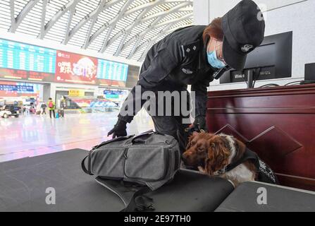 (210203) -- TIANJIN, le 3 février 2021 (Xinhua) -- le formateur Han Chaoyang et le chien de police « Zhui Feng » vérifient les bagages des passagers à une gare ferroviaire de Tianjin, dans le nord de la Chine, le 1er février 2021. 'Fen Di', chien hybride allemand néerlandais et chien de garde à la succursale de Tianjin du bureau de sécurité publique ferroviaire de Pékin, travaille et vit avec son entraîneur Zhao hui depuis trois ans. Il y a maintenant une douzaine de chiens comme 'Fen Di' ici, qui agissent comme gardes dans la patrouille de routine et de bons partenaires dans l'entraînement. Au cours de la course de voyage du Festival de printemps de cette année, plus de patrouilles pour 'Fen Di' et ses collègues Banque D'Images