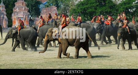 Dans la ville de Surin, située en Thaïlande -isan-, en novembre du 20 au 22, en l'année 2020, “Festival de l'éléphant 2020” Banque D'Images