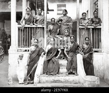 Photographie de la fin du XIXe siècle - Groupe de filles de Nautch, Inde Banque D'Images