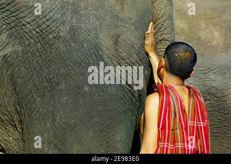 homme en charge de son éléphant Banque D'Images
