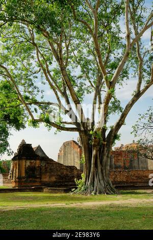 ruines du temple bouddhiste dans le parc historique de lop buri-thaïlande Banque D'Images