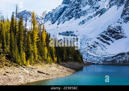 Lac Floe et flanc du pic Floe au terrain de camping du lac Floe, dans le parc national Kootenay, dans les Rocheuses canadiennes, en Colombie-Britannique, au Canada Banque D'Images