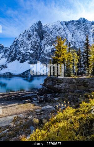 Lac Floe et pic Floe au terrain de camping du lac Floe avec les arbres Larch Lyall dans le parc national Kootenay, dans les Rocheuses canadiennes, en Colombie-Britannique, au Canada Banque D'Images