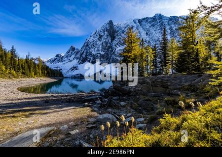 Lac Floe et pic Floe au terrain de camping du lac Floe avec les arbres Larch Lyall dans le parc national Kootenay, dans les Rocheuses canadiennes, en Colombie-Britannique, au Canada Banque D'Images