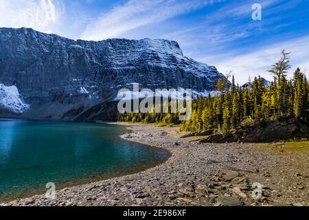 Lac Floe et pic Floe au terrain de camping du lac Floe avec les arbres Larch Lyall dans le parc national Kootenay, dans les Rocheuses canadiennes, en Colombie-Britannique, au Canada Banque D'Images