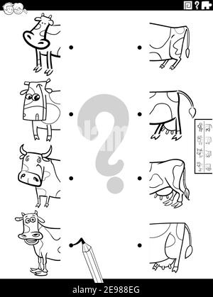 Illustration de dessin animé noir et blanc d'un jeu éducatif d'appariement moitiés d'images avec les vaches drôle animaux de ferme caractères de coloration page de livre Illustration de Vecteur