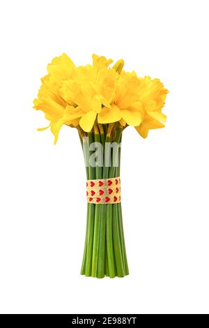 Bouquet de narcisses ou de jonquilles jaunes décoré de ruban isolé sur fond blanc avec passe-cheveux. Banque D'Images