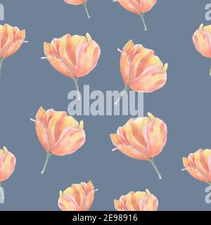 Motif tulipe sans couture sur fond gris. Tulipes roses aquarelle. Banque D'Images