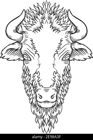 Vecteur d'un motif de tête de buffle sur fond blanc. Animaux sauvages. Illustration vectorielle superposée facile à modifier. Illustration de Vecteur