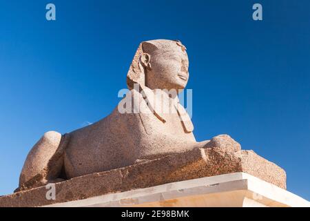 Alexandrie, Égypte. Statue du Sphinx située près du pilier de Pompeys par beau temps Banque D'Images