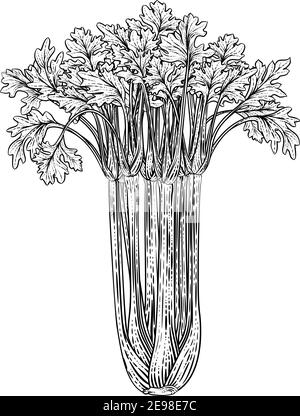 Illustration de la coupe de bois Vintage de légumes de céleri Illustration de Vecteur