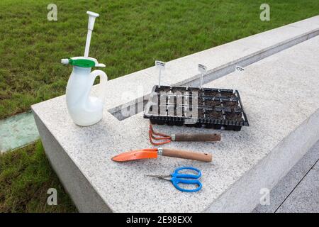 Gros plan des outils de jardinage et du plateau de pépinière semé de graines de plantes sur banc de granit en terrasse avec de l'herbe en arrière-plan. Arrosoir, râteau, ébousse Banque D'Images