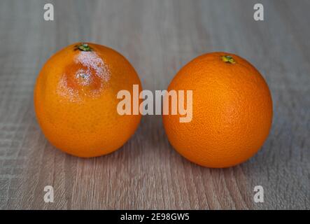 Une pourriture moisie et un fruit orange frais sur bois tableau Banque D'Images