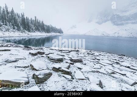 Littoral du lac Floe au terrain de camping du lac Floe, parc national Kootenay, dans les Rocheuses canadiennes, Colombie-Britannique, Canada Banque D'Images