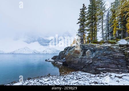 Littoral du lac Floe au terrain de camping du lac Floe, parc national Kootenay, dans les Rocheuses canadiennes, Colombie-Britannique, Canada Banque D'Images