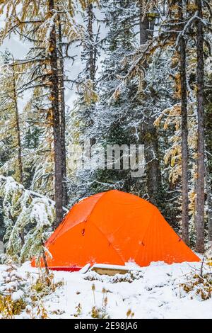 Camping au terrain de camping du lac Floe, dans le parc national Kootenay, dans les Rocheuses canadiennes, Colombie-Britannique, Canada Banque D'Images