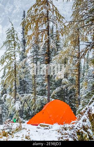 Camping au terrain de camping du lac Floe, dans le parc national Kootenay, dans les Rocheuses canadiennes, Colombie-Britannique, Canada Banque D'Images