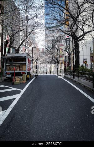 Cette série de photos veut souligner les différents scénarios au Japon pendant deux semaines de vacances à travers la plus grande île, Honshu. Banque D'Images