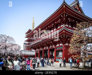 Cette série de photos veut souligner les différents scénarios au Japon pendant deux semaines de vacances à travers la plus grande île, Honshu. Banque D'Images