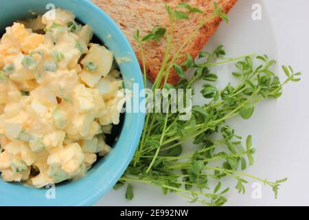 Sandwich à la salade d'œufs avec du pain grillé au blé entier et des micro-légumes sur plaque sur fond blanc. Concept d'alimentation saine Banque D'Images