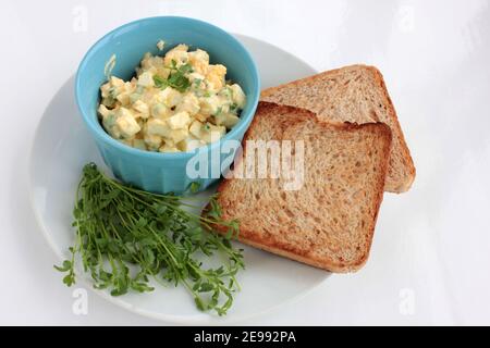 Sandwich à la salade d'œufs avec du pain grillé au blé entier et des micro-légumes sur plaque sur fond blanc. Concept d'alimentation saine Banque D'Images