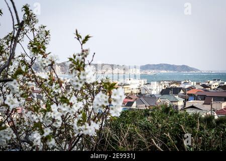 Cette série de photos veut souligner les différents scénarios au Japon pendant deux semaines de vacances à travers la plus grande île, Honshu. Banque D'Images